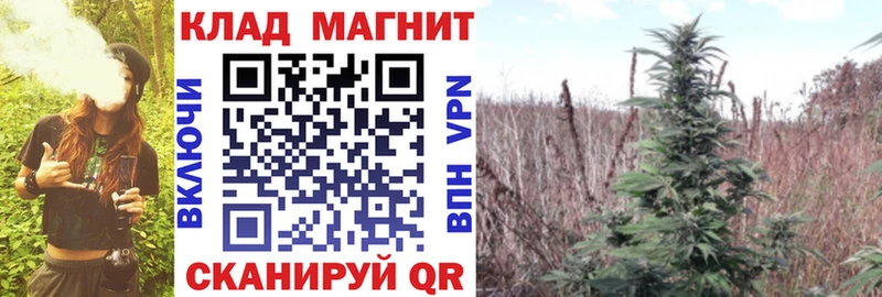 Купить закладку Пугачёв ГАШ  МАРИХУАНА  Альфа ПВП  Меф мяу мяу  Кокаин 
