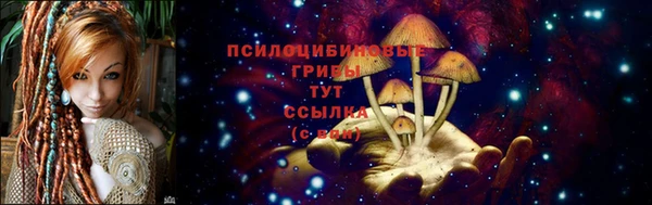 индика Гусь-Хрустальный
