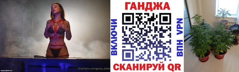 Бошки марихуана марихуана где купить наркоту Пугачёв